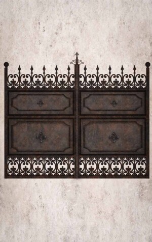 Rejas de hierro en Argentina. Puertas de hierro. Rejas en Argentina.