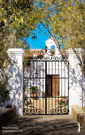 Reja Trinidad